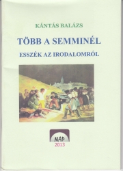 Több a semminél. Esszék az irodalomról