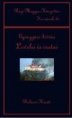 Első borító: Gyöngyösi István levelei és iratai