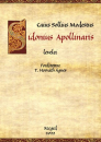 Első borító: Sidonius Apollinaris levelei/ Tanulmányok a Sidonius levélgyűjteményhez