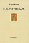 Magyar versszak