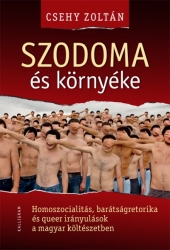 Szodoma és környéke. Homoszocialitás, barátságretorika és queer irányulások a magyar költészetben