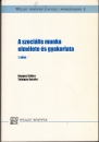 Első borító: A szociális munka elmélete és gyakorlata 1. kötet