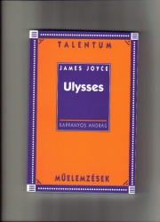 Ulysses - Műelemzés