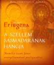 Első borító: A szellem sasmadarának hangja. Homília Szent János evangéliumának prológusához