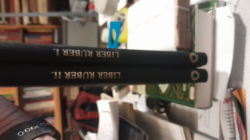 Liber Ruber I-II. Chartularium monasterii Sancti Martini de Sacro Monte Pannoniar.