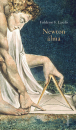 Első borító: Newton álma. William Blake Naewtonja