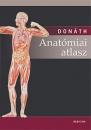 Első borító: Anatómiai atlasz